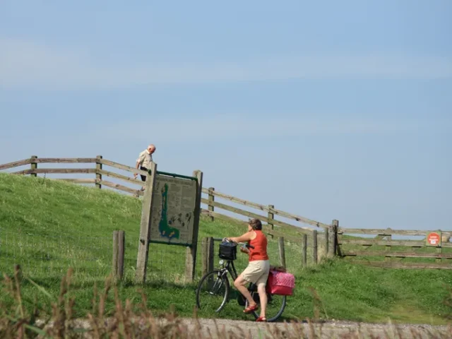 fietsers-dijk-friesland